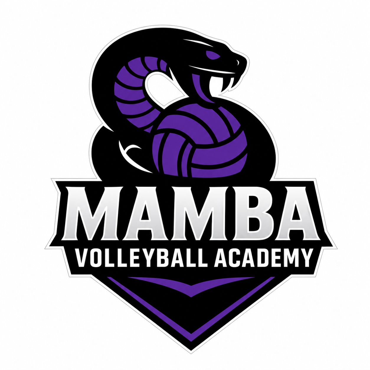 Mamba Volleyball Academy