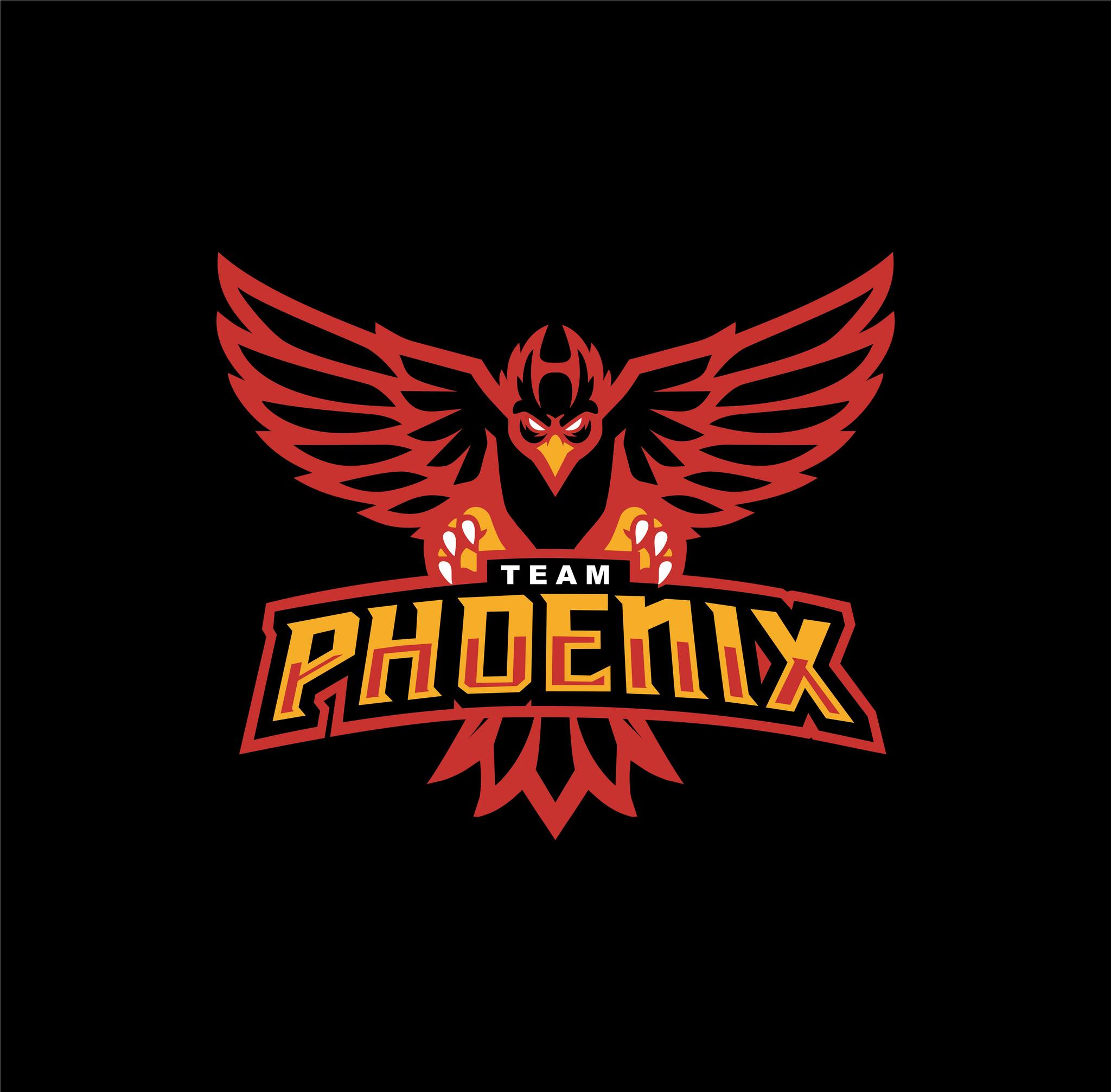 Team Phoenix Basketball