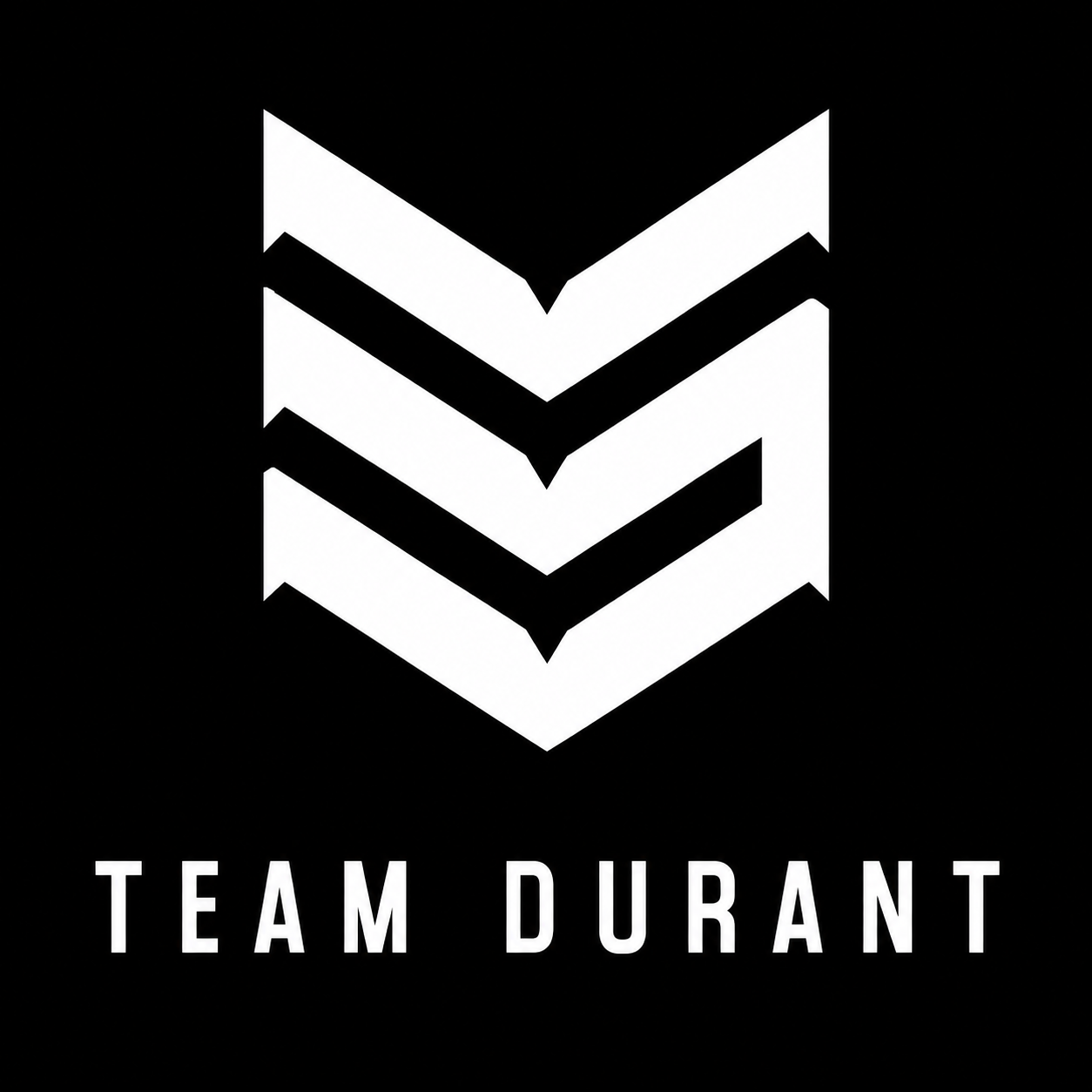 Team Durant
