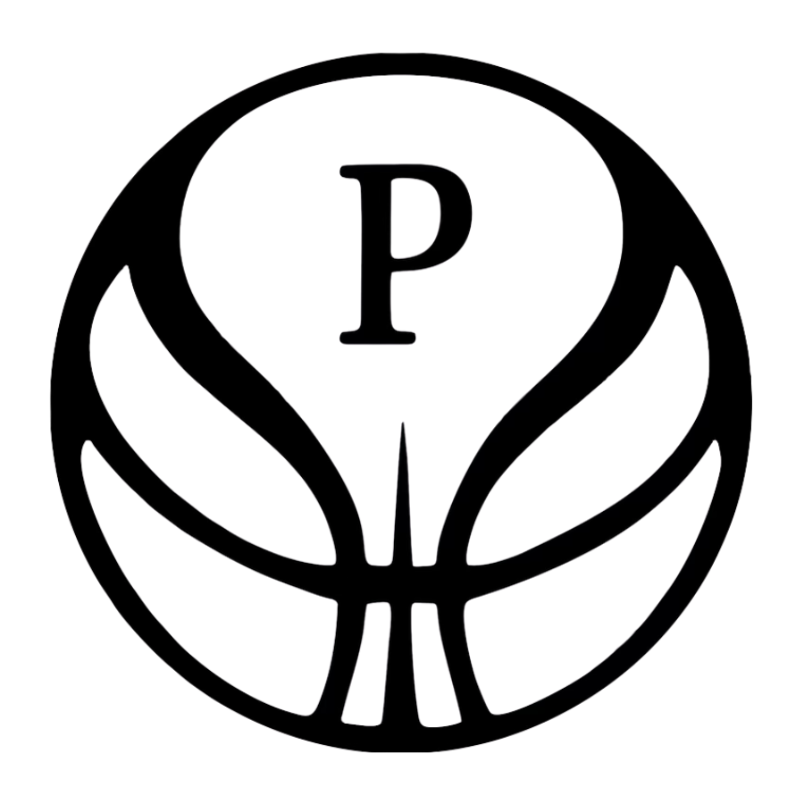 Playmakers Basketball Training