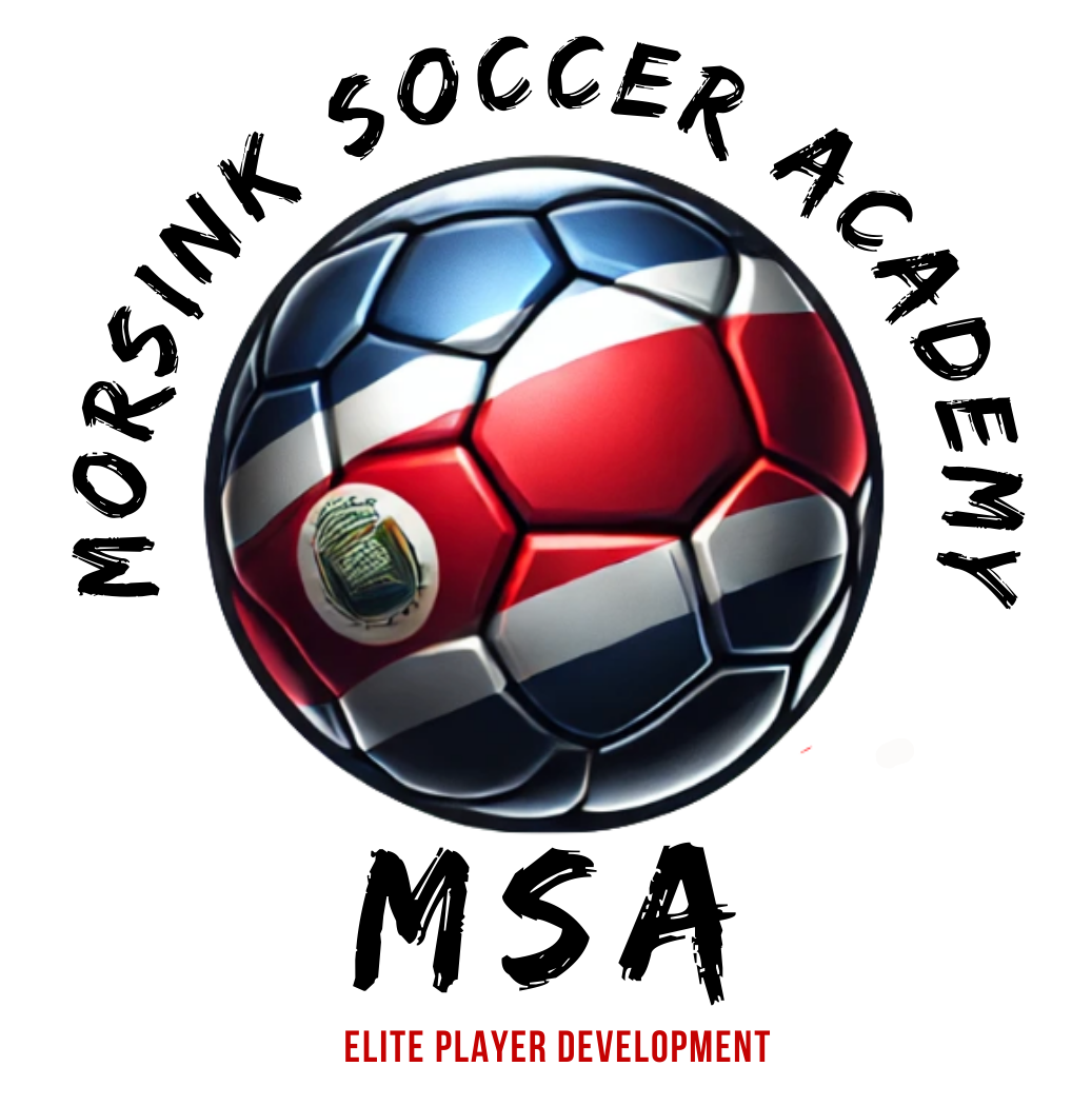 Morsink Soccer