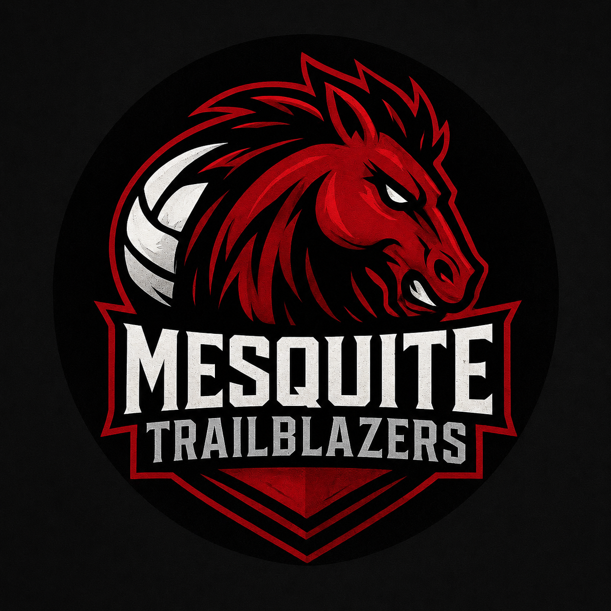 Mesquite TrailBlazers Volleyball Club