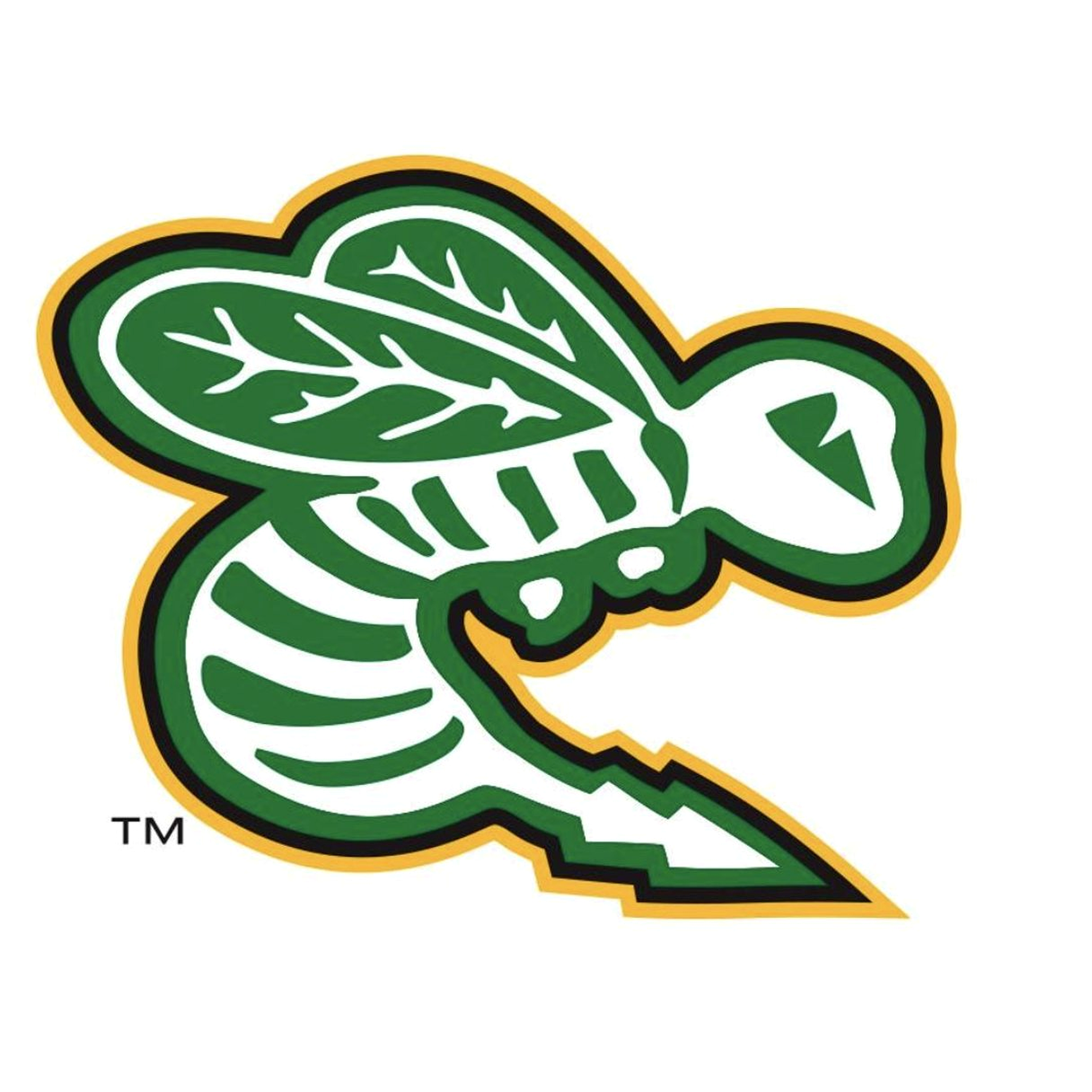 Edina Hockey Association