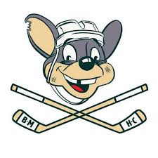 Barn Mice Hockey