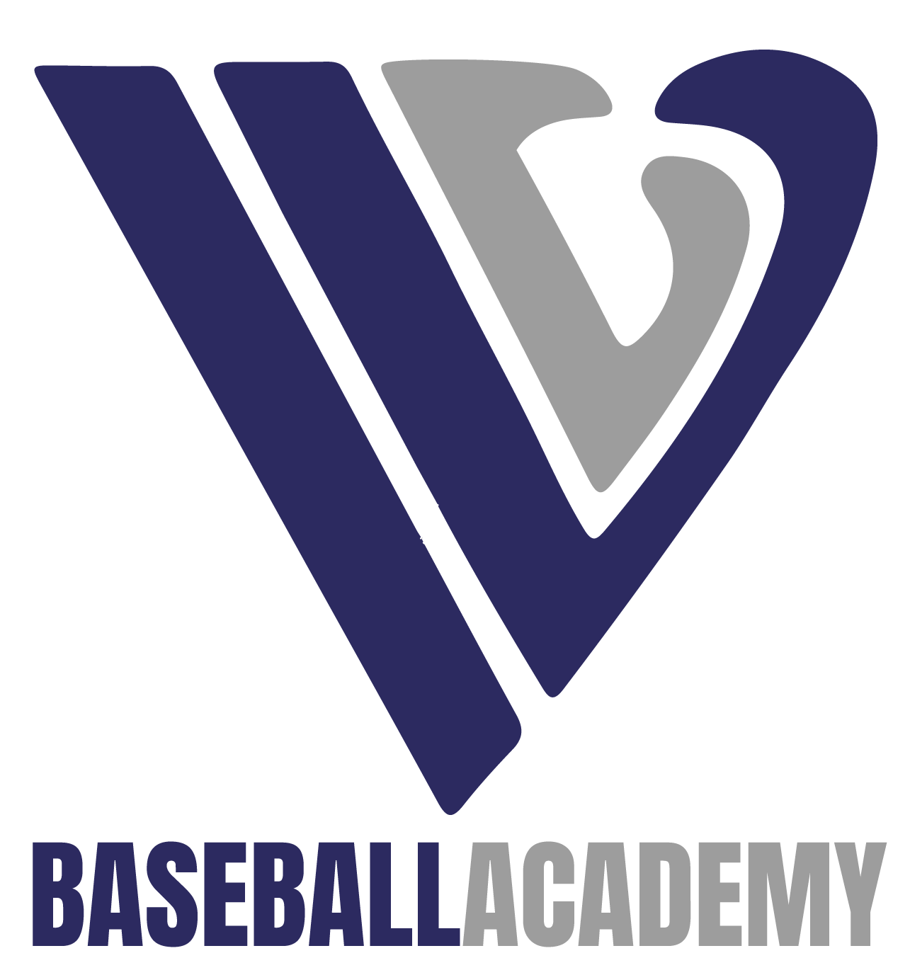 IVL Baseball Academy