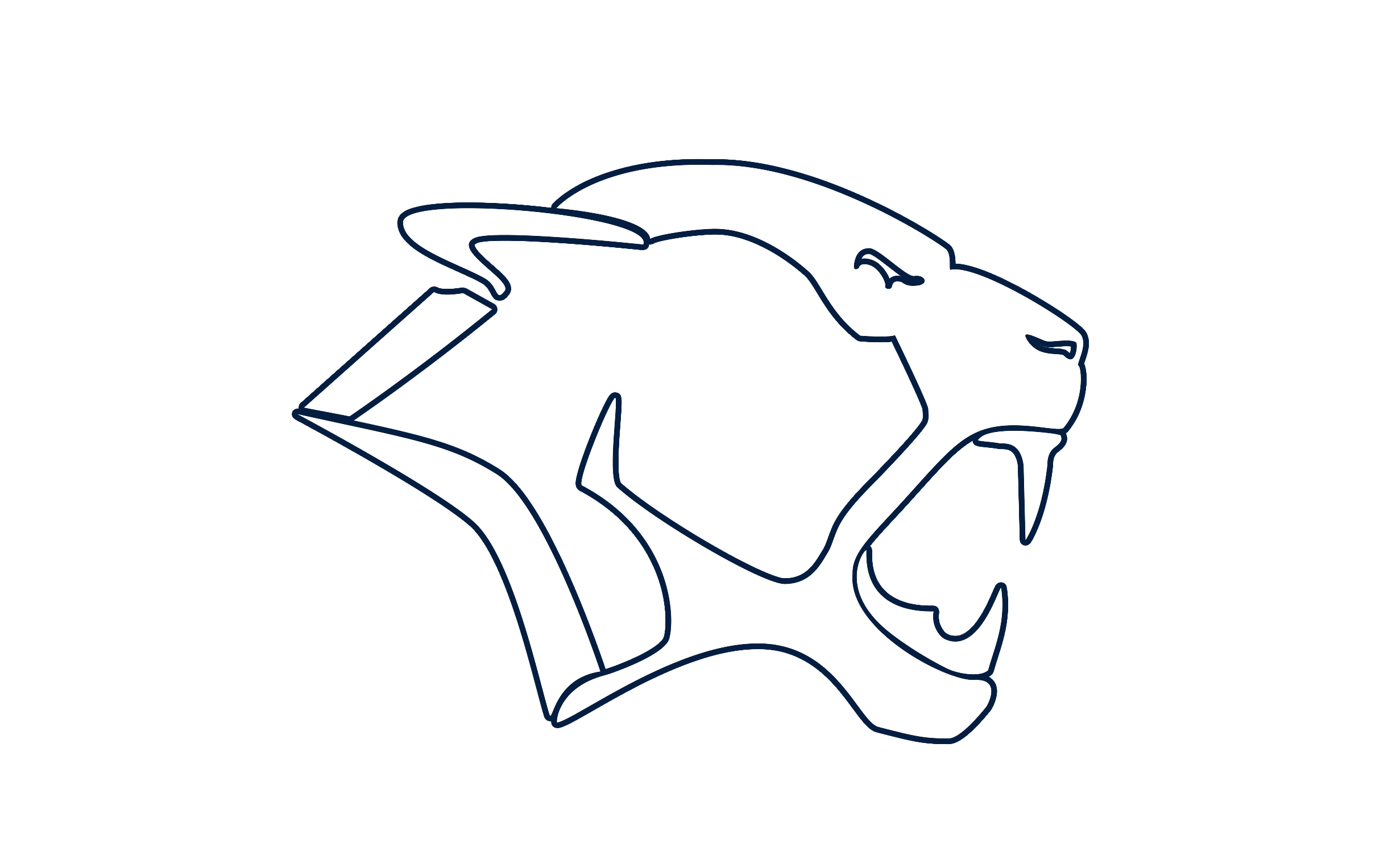 NYC Lions Youth Football